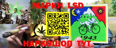 спиды Новокубанск