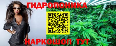 альфа пвп Новодвинск