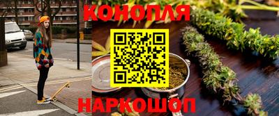 альфа пвп Новодвинск
