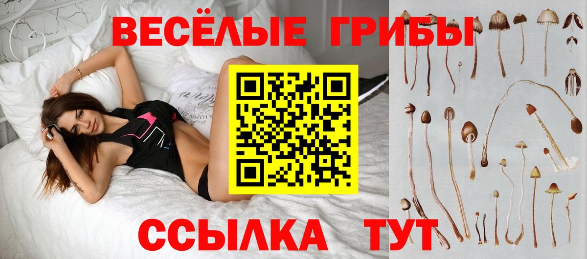 Псилоцибиновые грибы GOLDEN TEACHER Ртищево